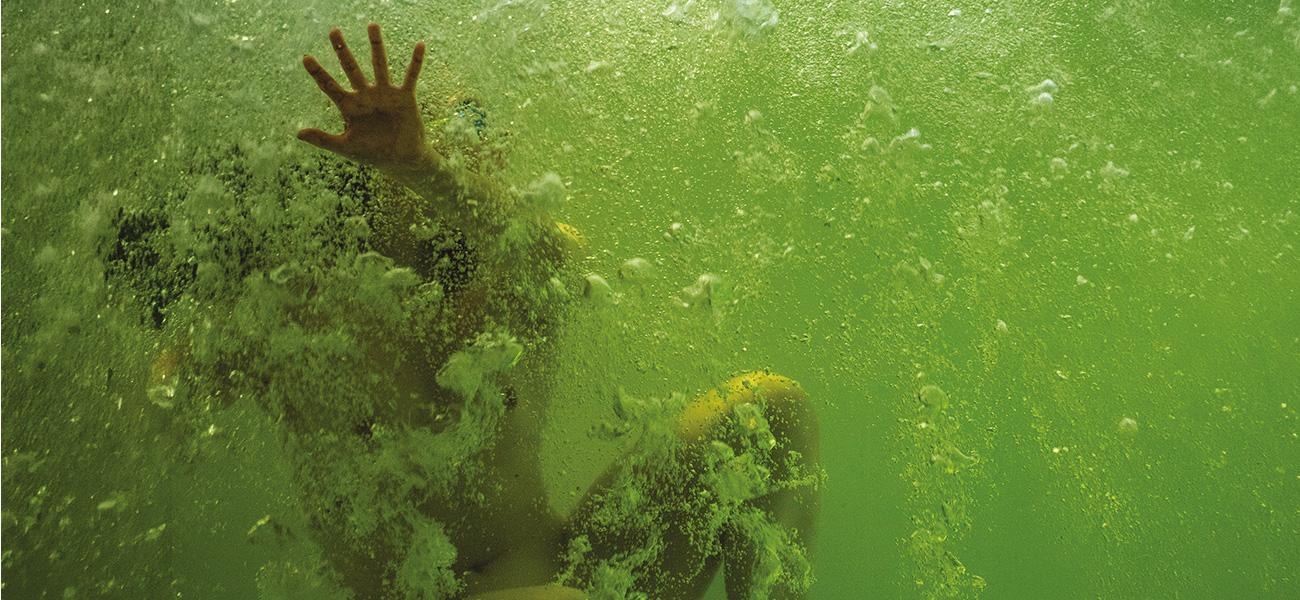 In Minor Keys: The 61st Venice Biennale Returns Attention to Subtle Experience editorial image 2